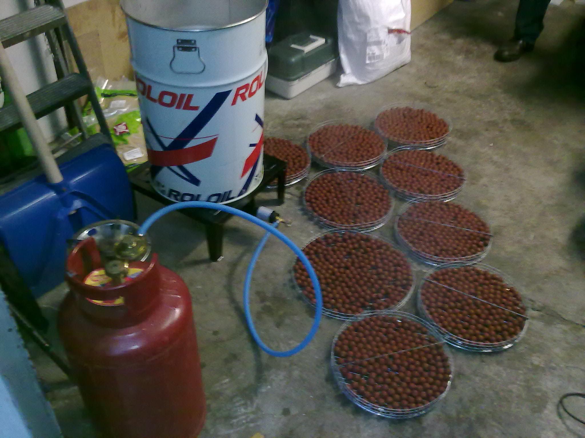 Capturi 2012 prima parte - 20022012063.jpg